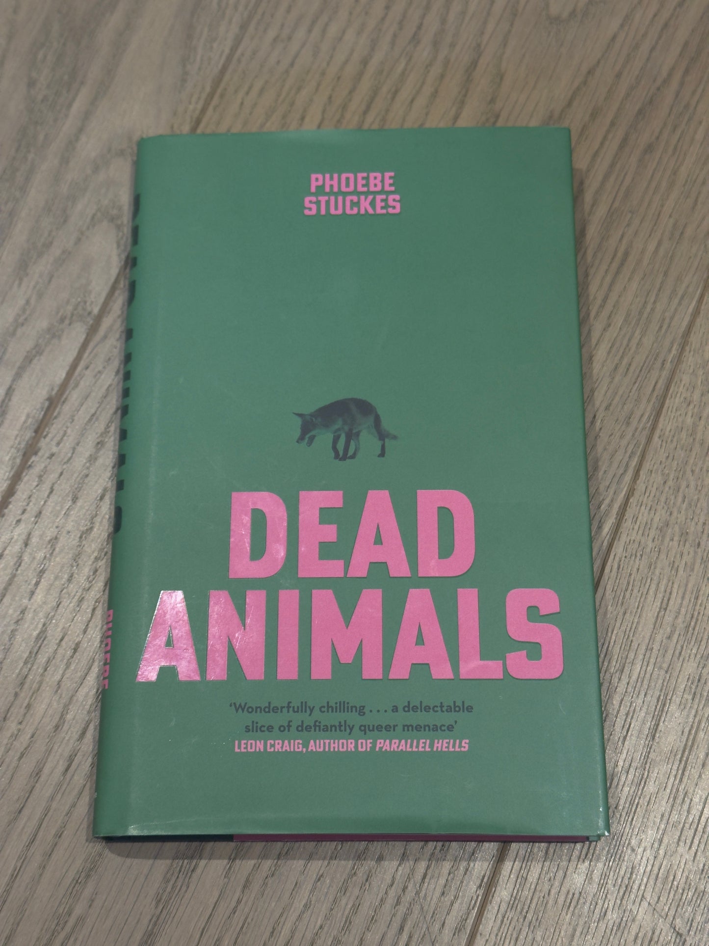Dead Animals by Phoebe Stuckes